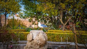 שדרוג במקום שיחזור: "ביחד נשקם" מבקשת לגייס 120 מיליון שקל לשיקום מתקדם בקיבוצי העוטף